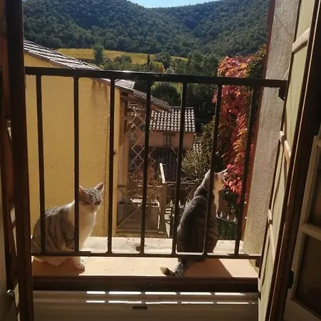 Accommodatie bij particulieren Campagne Hyères