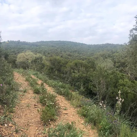 Campagne * Hyères